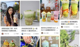 娱乐圈吃瓜名称